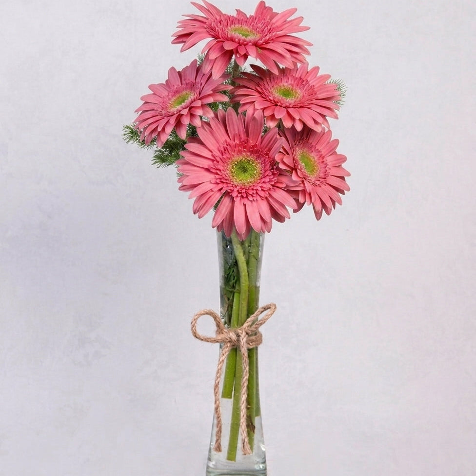 5 Gerberas Rosas De Amor - En Violetero