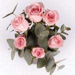 6 Lilac Roses