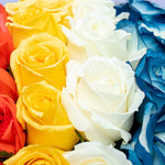 Arcoíris - Flores