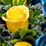 Believe - Flores