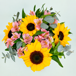 Mini Spring Sunflowers