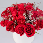 Winter Red Planter and Ferrero