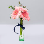 White and pink gerberas in a glass vase (B)