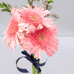 White and pink gerberas in a glass vase (B)