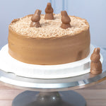 Large Turin Bunny Cake - Chocolate