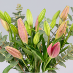 Pink Lilies in Vase