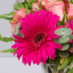 3 Rosas Claritas, 2 Gerberas Rosas y Astromelia Rosa - En Barcelo