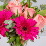 3 Rosas Claritas, 2 Gerberas Rosas y Astromelia Rosa - En Barcelo