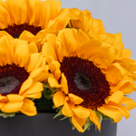 Box of Sunflowers