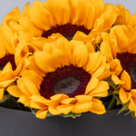 Box of Sunflowers
