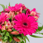 Pink Gerbera and Alstroemeria