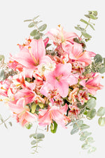 Pantera Rosa Lilis Rosas / 10 de Mayo 10MFM