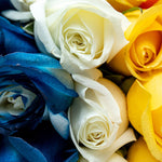 Pride - Flores