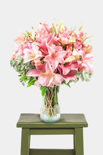 Pantera Rosa Lilis Rosas / 10 de Mayo 10MFM