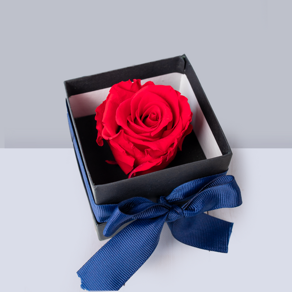 Rosa Eterna - 10 de Mayo MOM