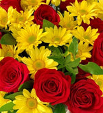 Rosas Rojas Y Margaritas