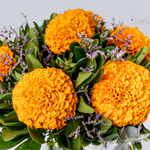 Camino de los Muertos - Cempasúchil Flores | LolaFlora