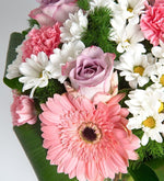 Algodón de Azúcar - 7 Claveles Rosas, 4 Gerberas Rosas y 5 Rosas Claritas En Florero D2T
