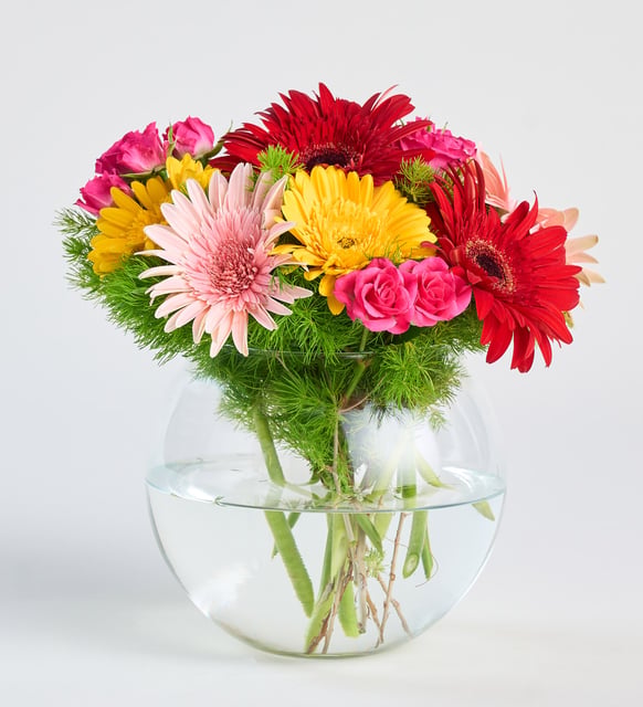 Gerberas de colores en jarrón pecera