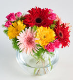 Gerberas de colores en jarrón pecera