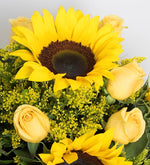 Girasoles Y Rosas / Amarillas (B)