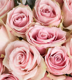 Pink rose with a yellow ribbon in a pink heart box