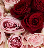 Rosa rosa, roja y eucalipto en caja de corazón