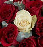 Red rose and white rose in heart box