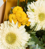 Gerberas blancas y crisantemos amarillos en un ramo amarillo