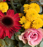 Gerberas rojas y rosas rosas en un ramo amarillo (A)