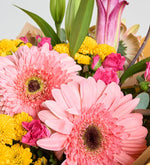 Gerbera rosa, mini rosas y lirios en ramo amarillo (M)