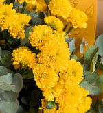 Crisantemo amarillo y eucalipto en ramo amarillo