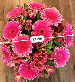 Gerberas Y Astromelias (A)