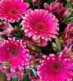 Gerberas Y Astromelias (A)
