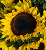 Bouquet de girasoles y margaritas amarillas (A)