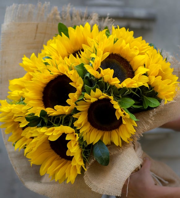 Ramo de Girasoles en Yute (A)