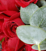 Ramo de 24 rosas rojas (M)