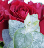 24 Rosas Rojas - Amor Eterno