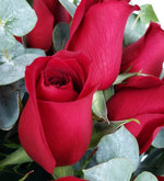 50 Rosas Rojas En Caja a Domicilio con Lolaflora