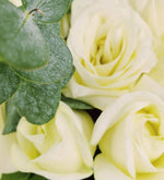 50 White Roses in a Box