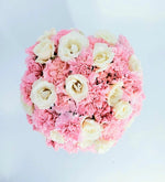 Claveles Blancos Y Rosas En Caja