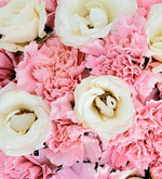 Claveles Blancos Y Rosas En Caja