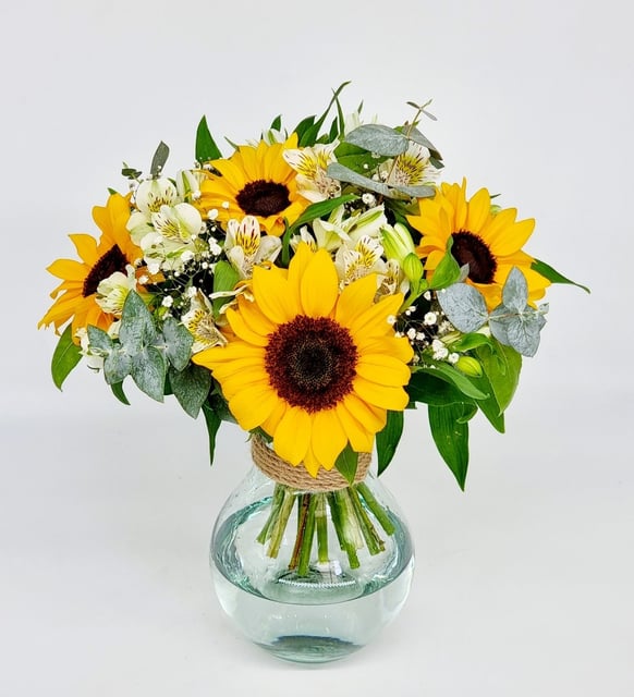 Mini Girasoles De Primavera