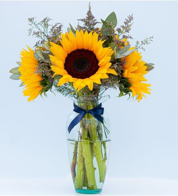 Detalle De Girasol (M)