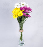 Margaritas En Violetero