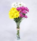 Margaritas En Violetero