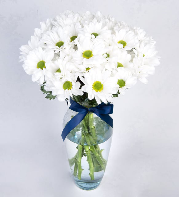 Arreglo De Margaritas Blancas