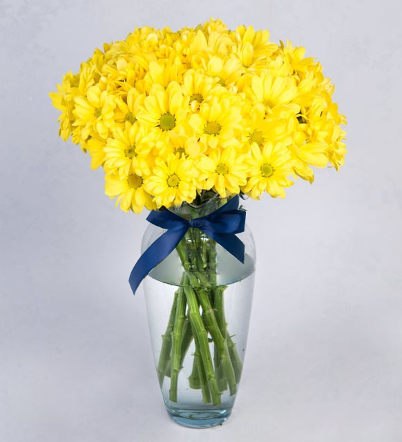 Arreglo De Margaritas Amarillas