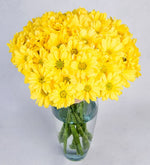 Arreglo De Margaritas Amarillas