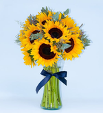 15 sunflowers in a vase